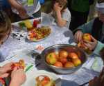 IMG-20230423-WA0057