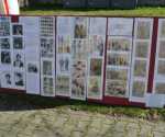 IMG-20230423-WA0106
