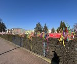 IMG_9330