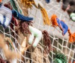 IMG_1712