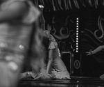 DSC05542
