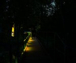 DSC08726