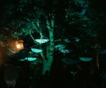 DSC08938