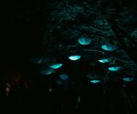 DSC08957