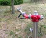 IMG-20260513-WA0004