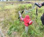 IMG-20260513-WA0006