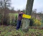 IMG-20230403-WA0010