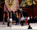 image0033