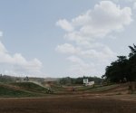 DSC_0350