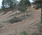 02-05-2011-032_0