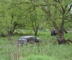 02-05-2011-089