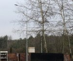 IMG_6107