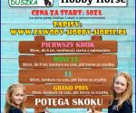 Hobby-Horse
