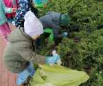 IMG-20240426-WA0017