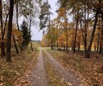 IMG_0677