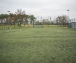 DSC04782