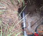 IMG-20260701-WA0003