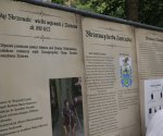 IMG_9310