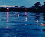 Lumii_20250623_171025426