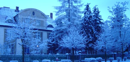 W zimowej scenerii