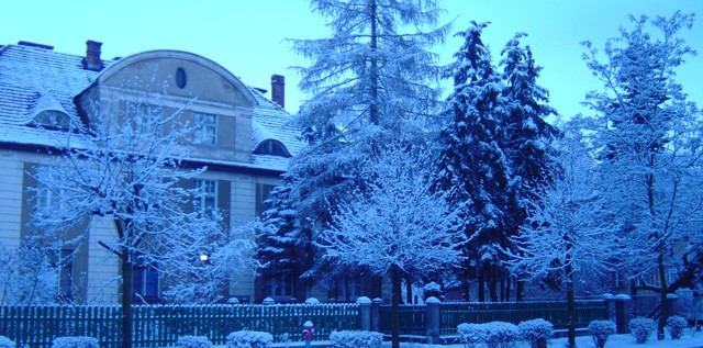 W zimowej scenerii