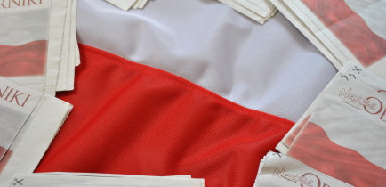W pięć dni 100 flag