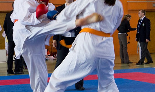 X Międzynarodowy Turniej Karate EUROPE CENTRAL OPEN