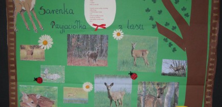 Leśne Spotkania