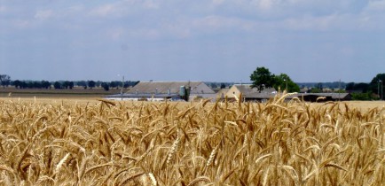 Ważne dla poszkodowanych rolników