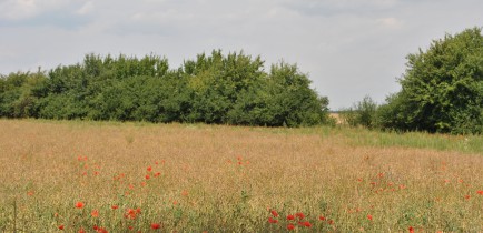 Pomoc dla rolników dotkniętych skutkami wichury