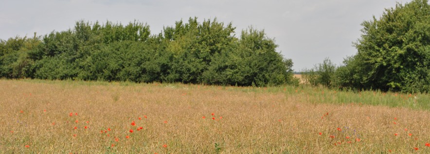 Pomoc dla rolników dotkniętych skutkami wichury