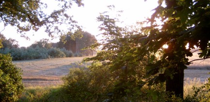 Prace geologiczne w Stobnicy i Podlesiu