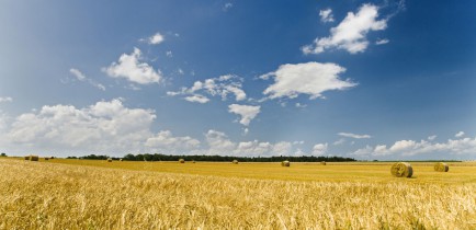 Ostrzeżenie o upałach