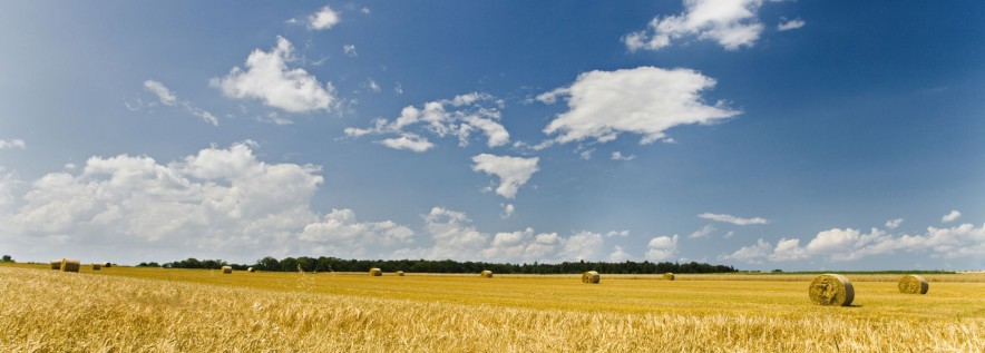 Ostrzeżenie o upałach