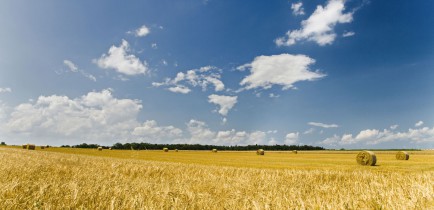 Apelujemy o przestrzeganie podstawowych zasad bezpieczeństwa podczas prac żniwnych!