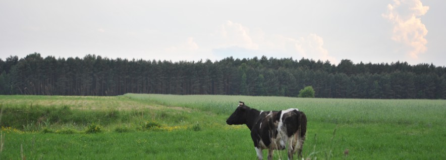 Rolniku przyjdź na spotkanie