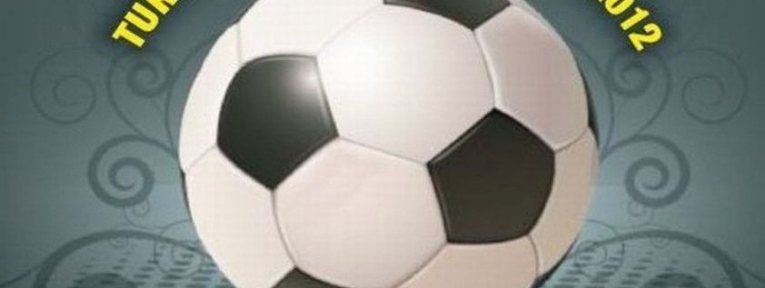 Zapraszamy na MINI EURO 2012