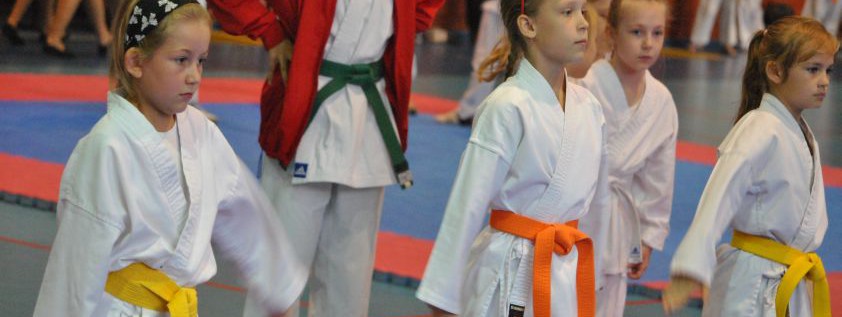 Medalowo dla Obornickiego Klubu Karate