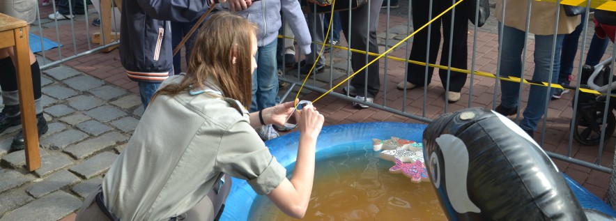 Zapraszamy na Biesiadę Rybną