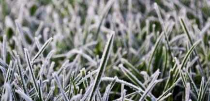 Aktualności - Ważne dla ogrodników!