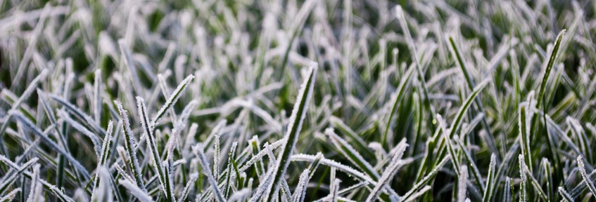 Ważne dla ogrodników!