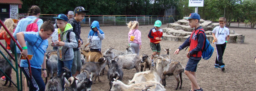 Zwiedzili ZOO Safari