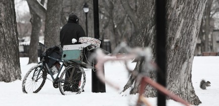 Straż Miejska apeluje – nie bądźmy obojętni!