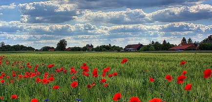 Nasza wieś, naszą wspólną sprawą