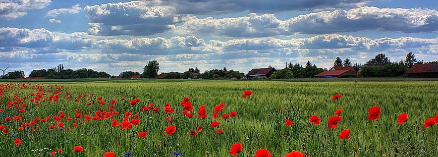 Nasza wieś, naszą wspólną sprawą