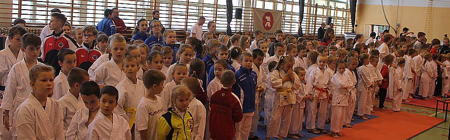 Wojewódzkie Mistrzostwa Szkół w Karate WKF