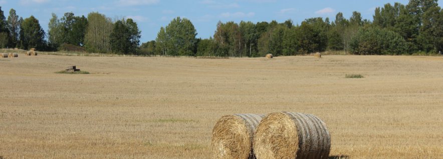 Zaproszenie na forum rolniczo-łowieckie