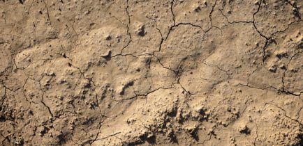 Aktualności - Rolniku! Wnioski o oszacowanie strat spowodowanych przez suszę w uprawach rolnych za rok 2022