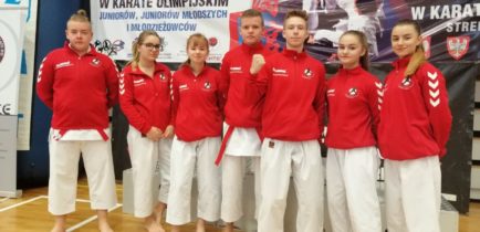 10 medali dla Karate Team Oborniki