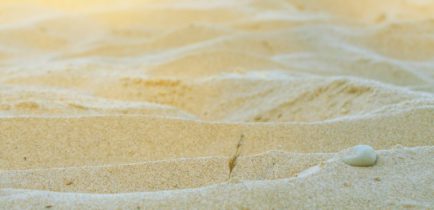 Plaża na Łazienkach pojawi się jesienią